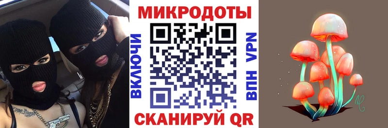 Псилоцибиновые грибы Psilocybe  где купить наркотик  Губкинский 